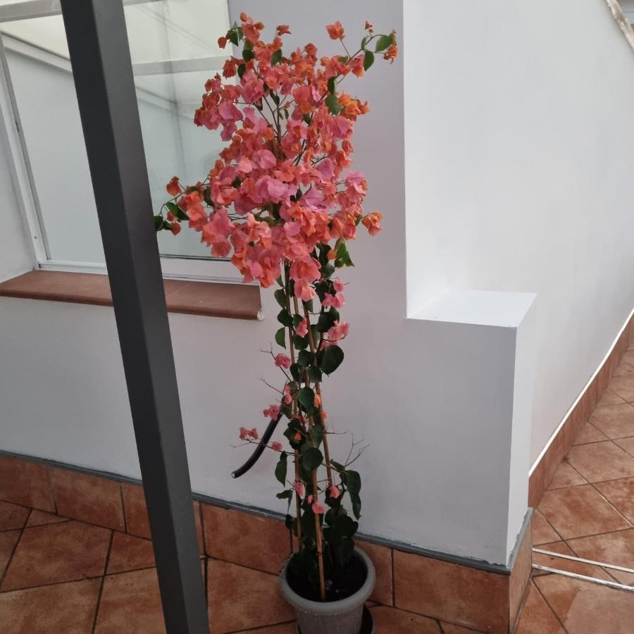Santiago Del Teide Room Экстерьер фото